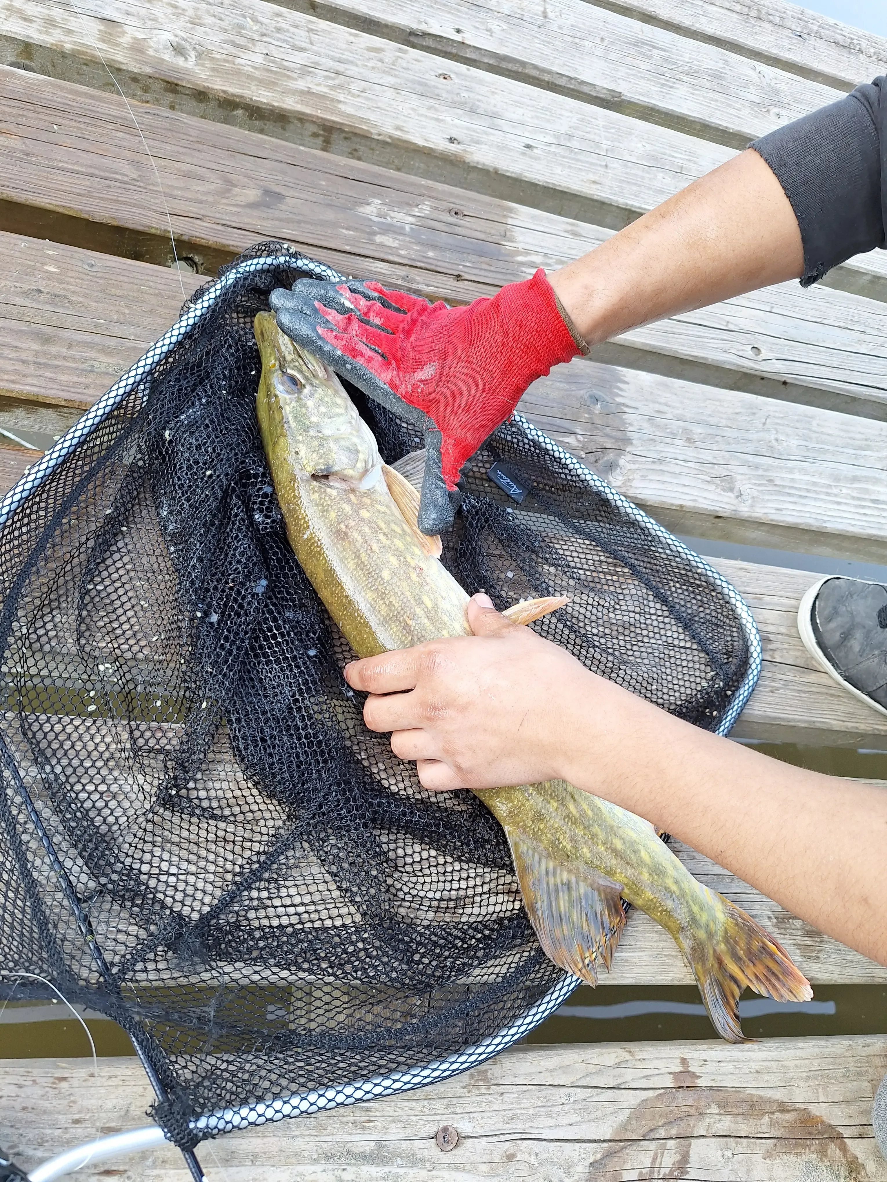 Etang à louer en Isère pour stationner votre camping-car et pêcher