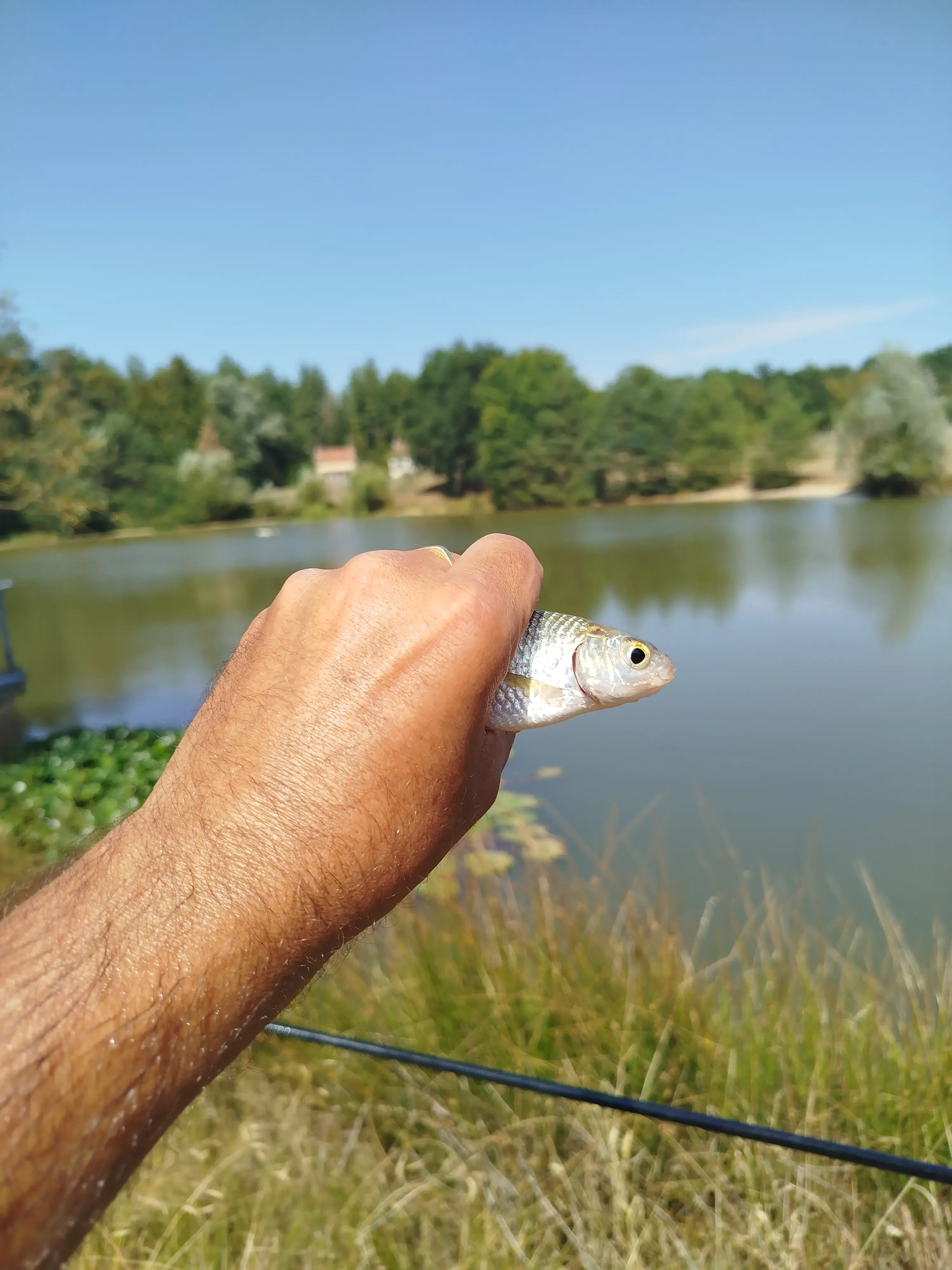 Gîte de pêche sur étang de 1,5 hectares entièrement privatisé en Bourgogne-Franche-Comté