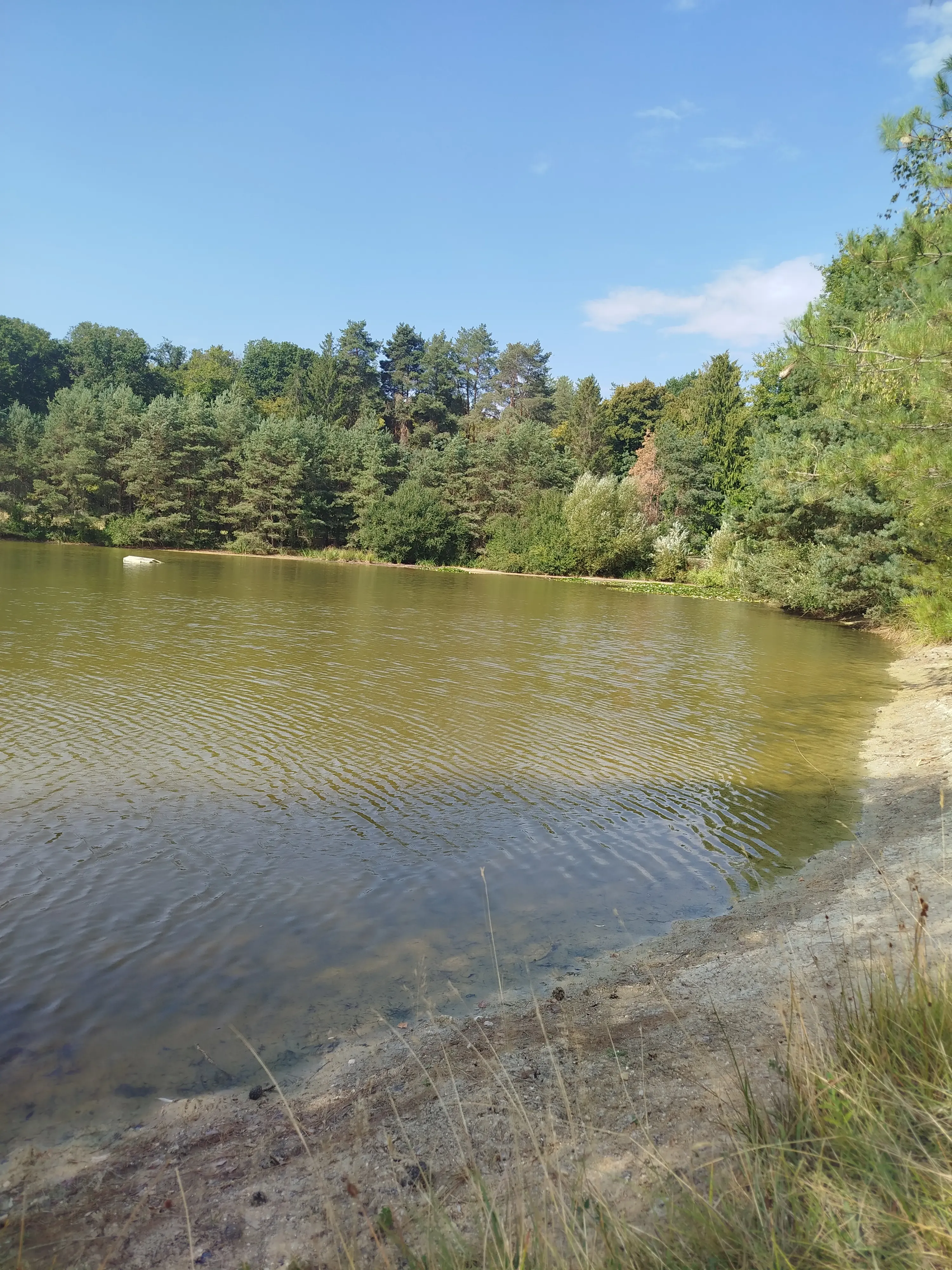 Gîte de pêche sur étang de 1,5 hectares entièrement privatisé en Bourgogne-Franche-Comté