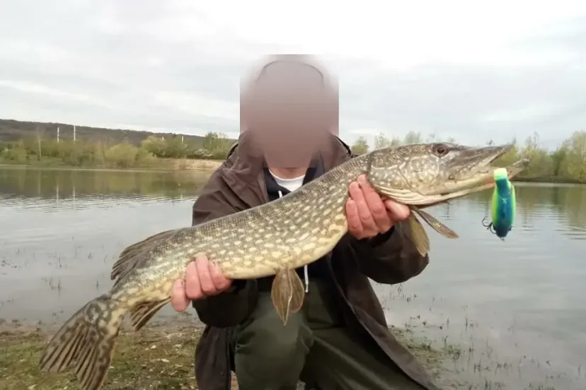 Private daily fishing pond near Sens – Yonne