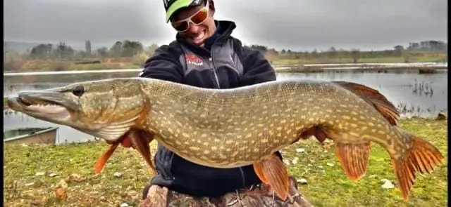 Private daily fishing pond near Sens – Yonne