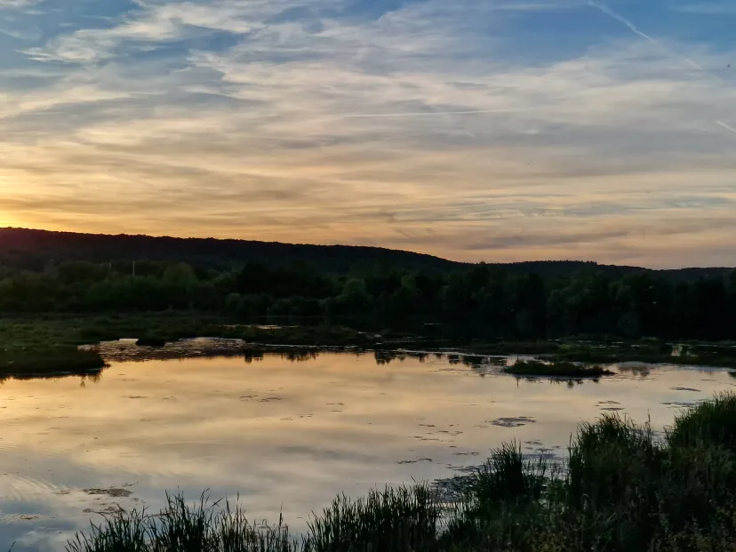 Private daily fishing pond near Sens – Yonne