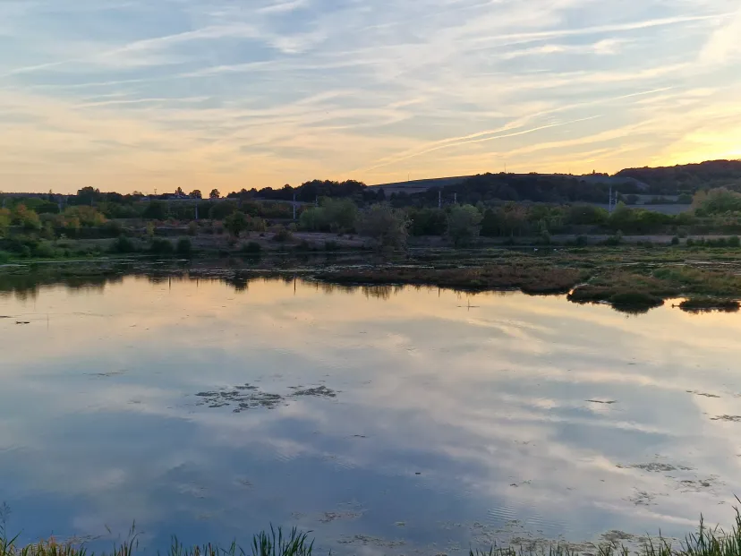 Private daily fishing pond near Sens – Yonne