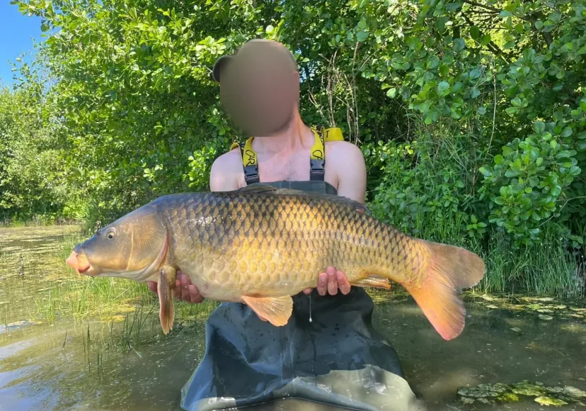 Private daily fishing pond near Sens – Yonne