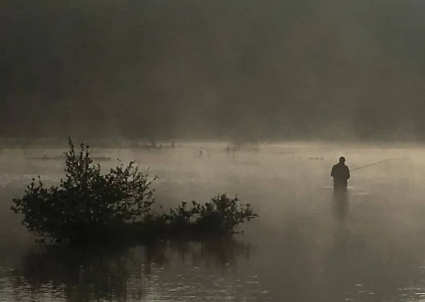 Private daily fishing pond near Sens – Yonne