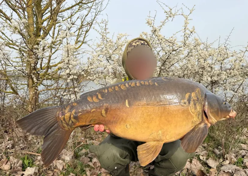 Private pond by day with launch near Auxerre – Yonne