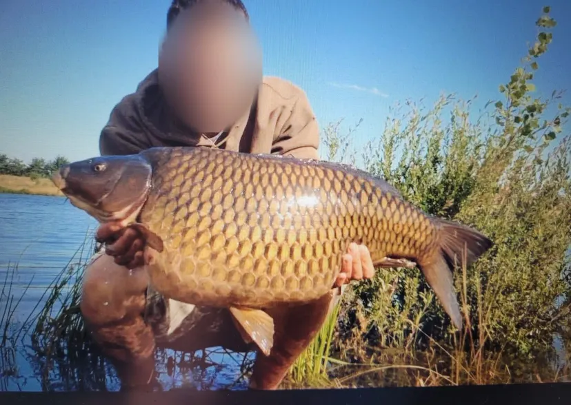 Private pond by day with launch near Auxerre – Yonne