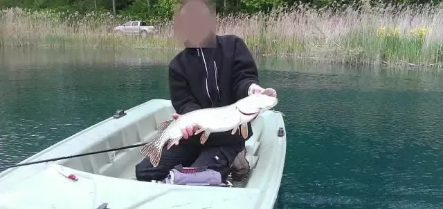 Fishing on private pike pond and carp near Provins – Île-de-France