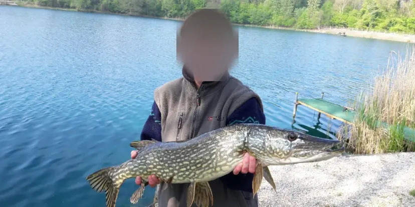 Fishing on private pike pond and carp near Provins – Île-de-France
