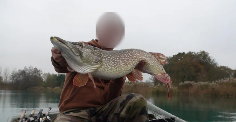 Fishing on private pike pond and carp near Provins – Île-de-France