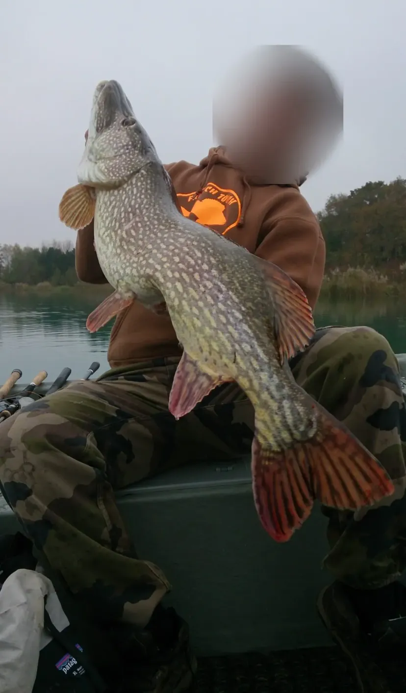 Fishing on private pike pond and carp near Provins – Île-de-France