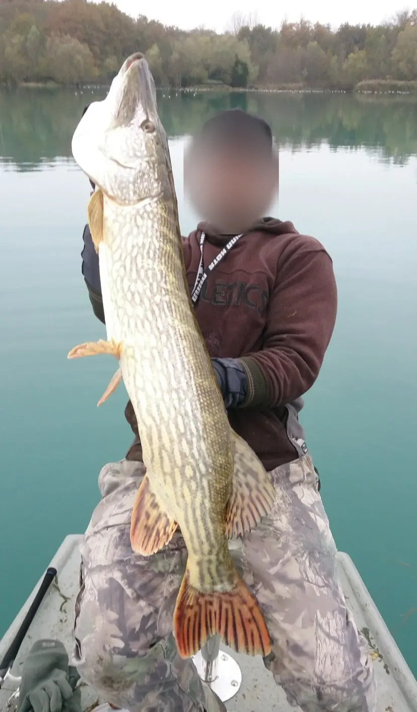Fishing on private pike pond and carp near Provins – Île-de-France