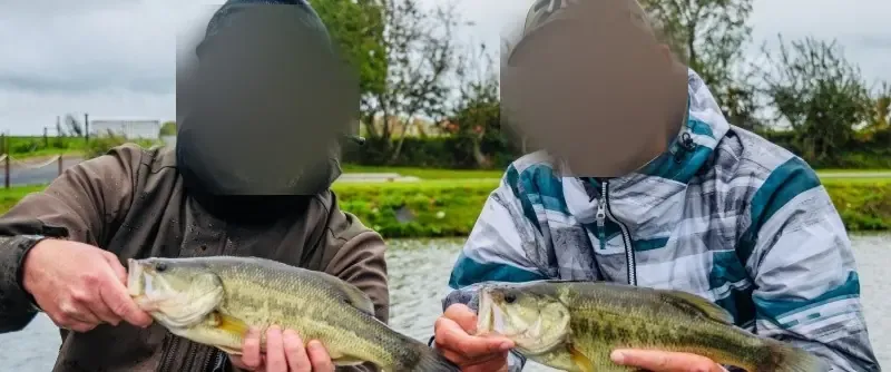 Private pond dedicated to Black Bass – Day fishing near Valenciennes