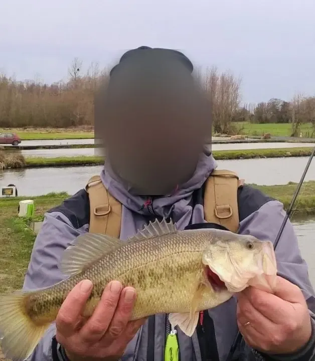 Private pond dedicated to Black Bass – Day fishing near Valenciennes