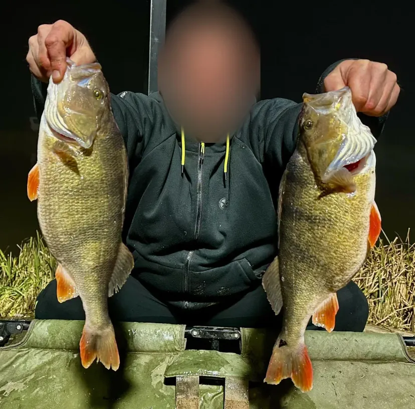 Private pond dedicated to Black Bass – Day fishing near Valenciennes
