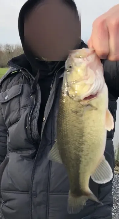 Private pond dedicated to Black Bass – Day fishing near Valenciennes