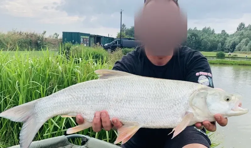 Carnodrome for pike and snail fishing near Valenciennes