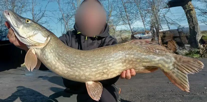 Carnodrome for pike and snail fishing near Valenciennes