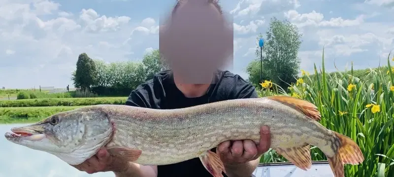 Carnodrome for pike and snail fishing near Valenciennes