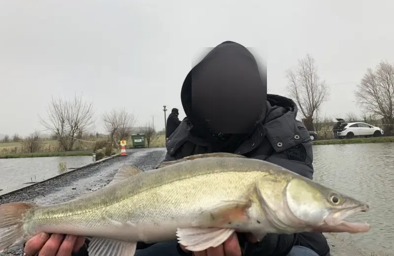 Carnodrome for pike and snail fishing near Valenciennes