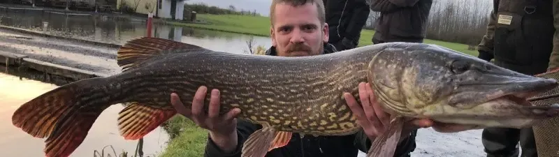Carnodrome for pike and snail fishing near Valenciennes