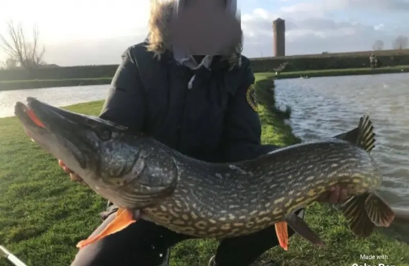 Carnodrome for pike and snail fishing near Valenciennes