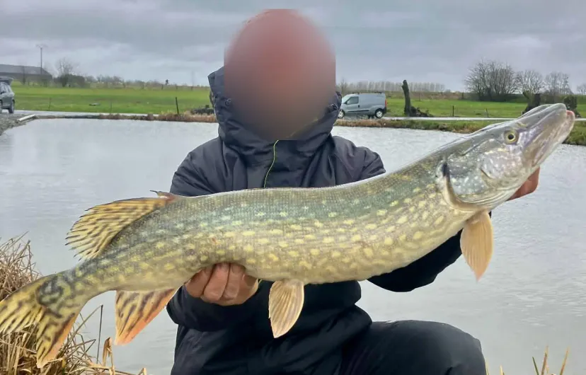 Carnodrome for pike and snail fishing near Valenciennes