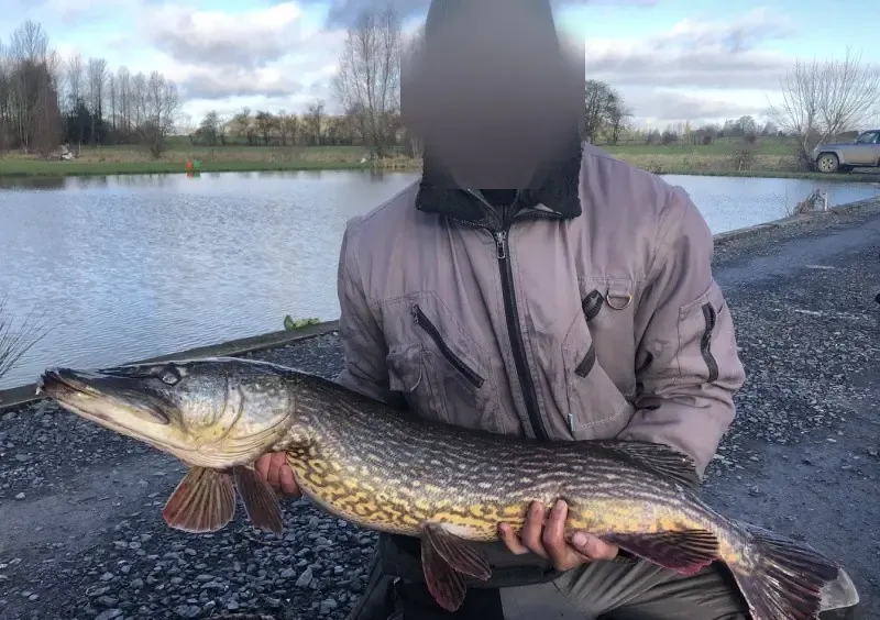 Carnodrome for pike and snail fishing near Valenciennes