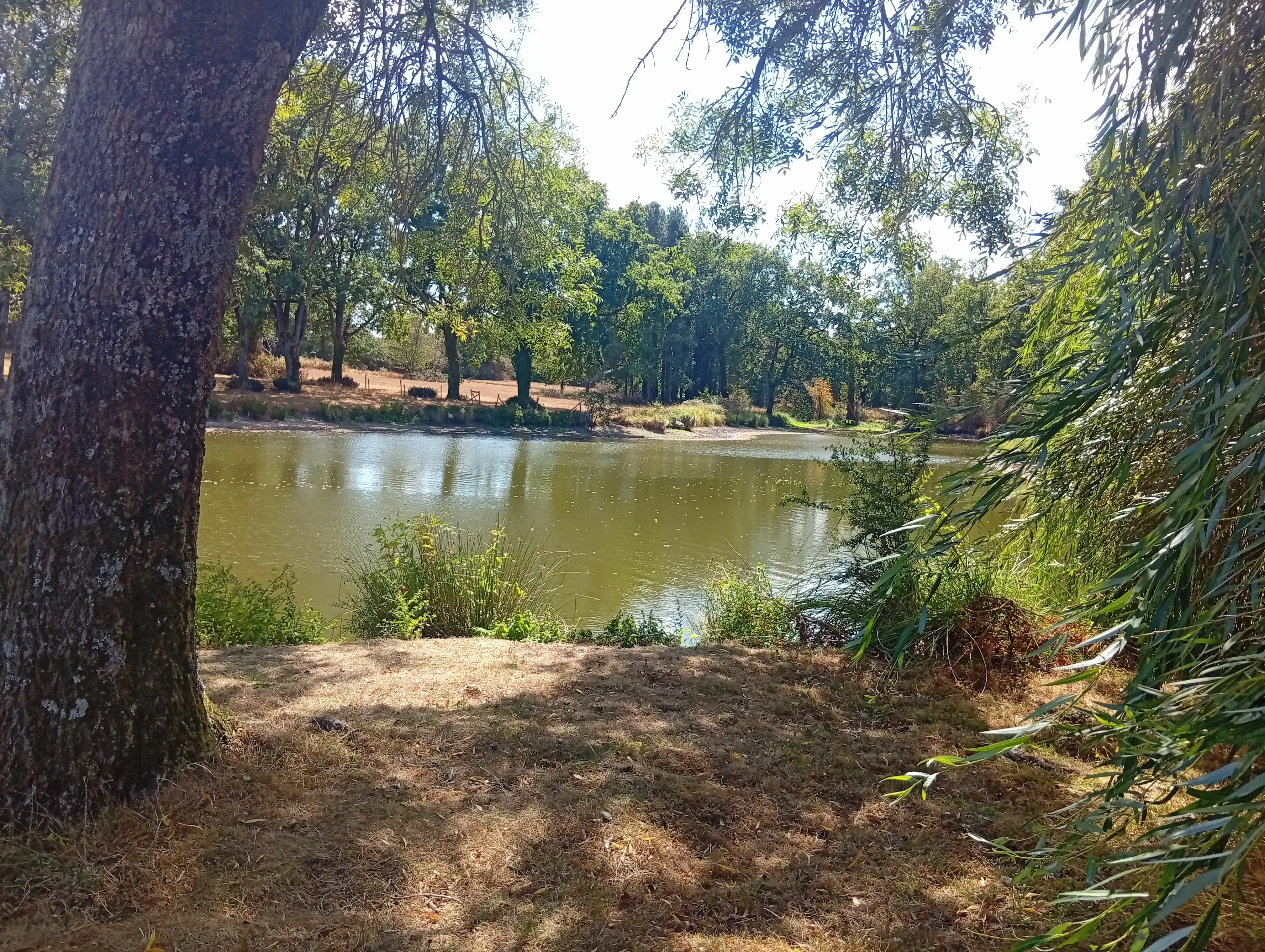 Etang privatif & hébergement face à l’eau avec deux étangs