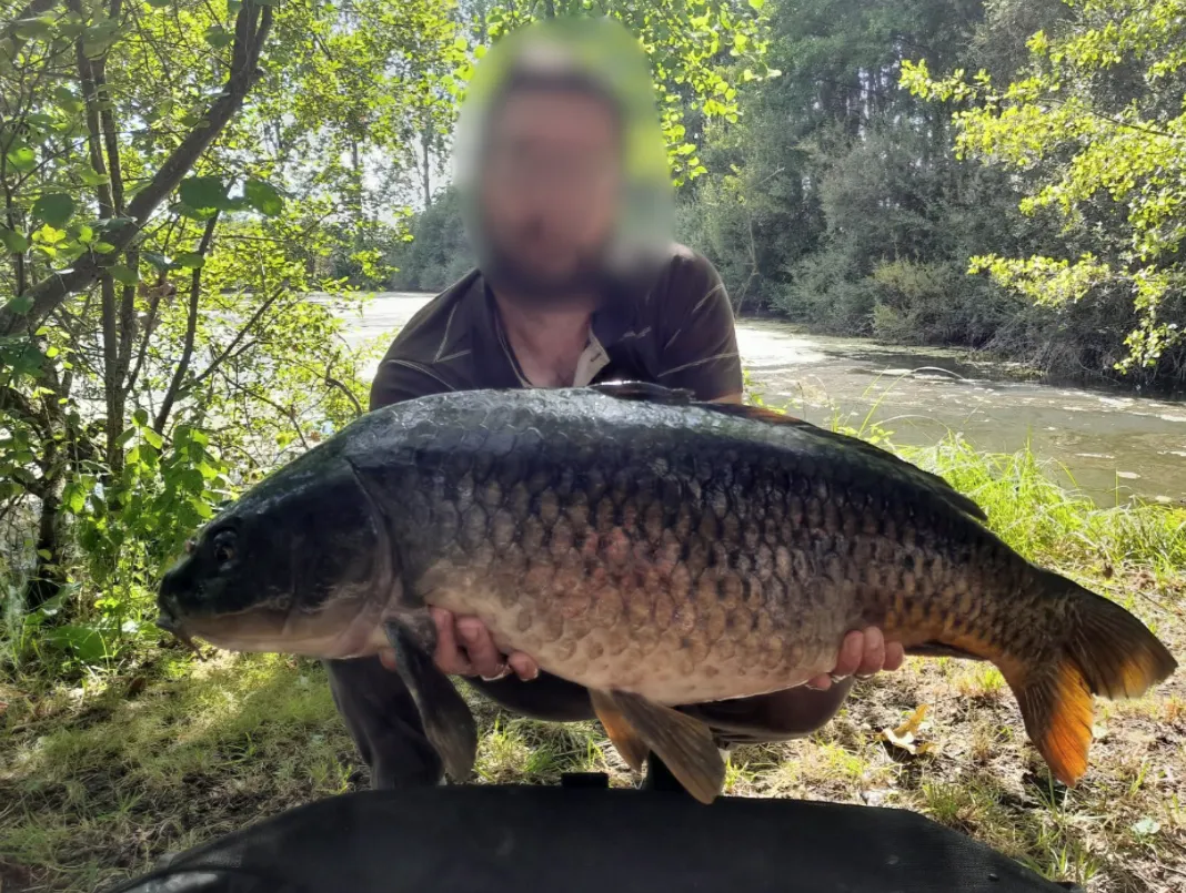 Gravière de 1,7ha avec une forte population de poissons!