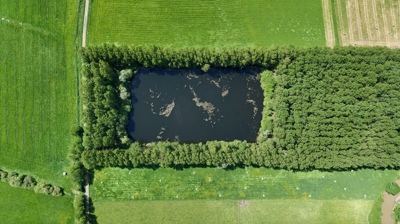 Gravière de 1,7ha avec une forte population de poissons!