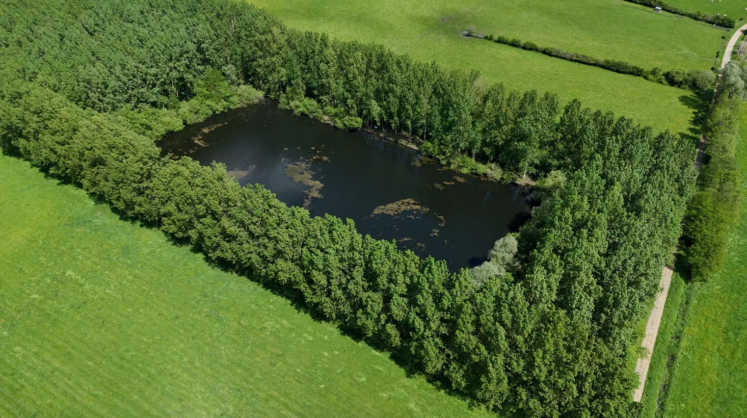 Gravière de 1,7ha avec une forte population de poissons!