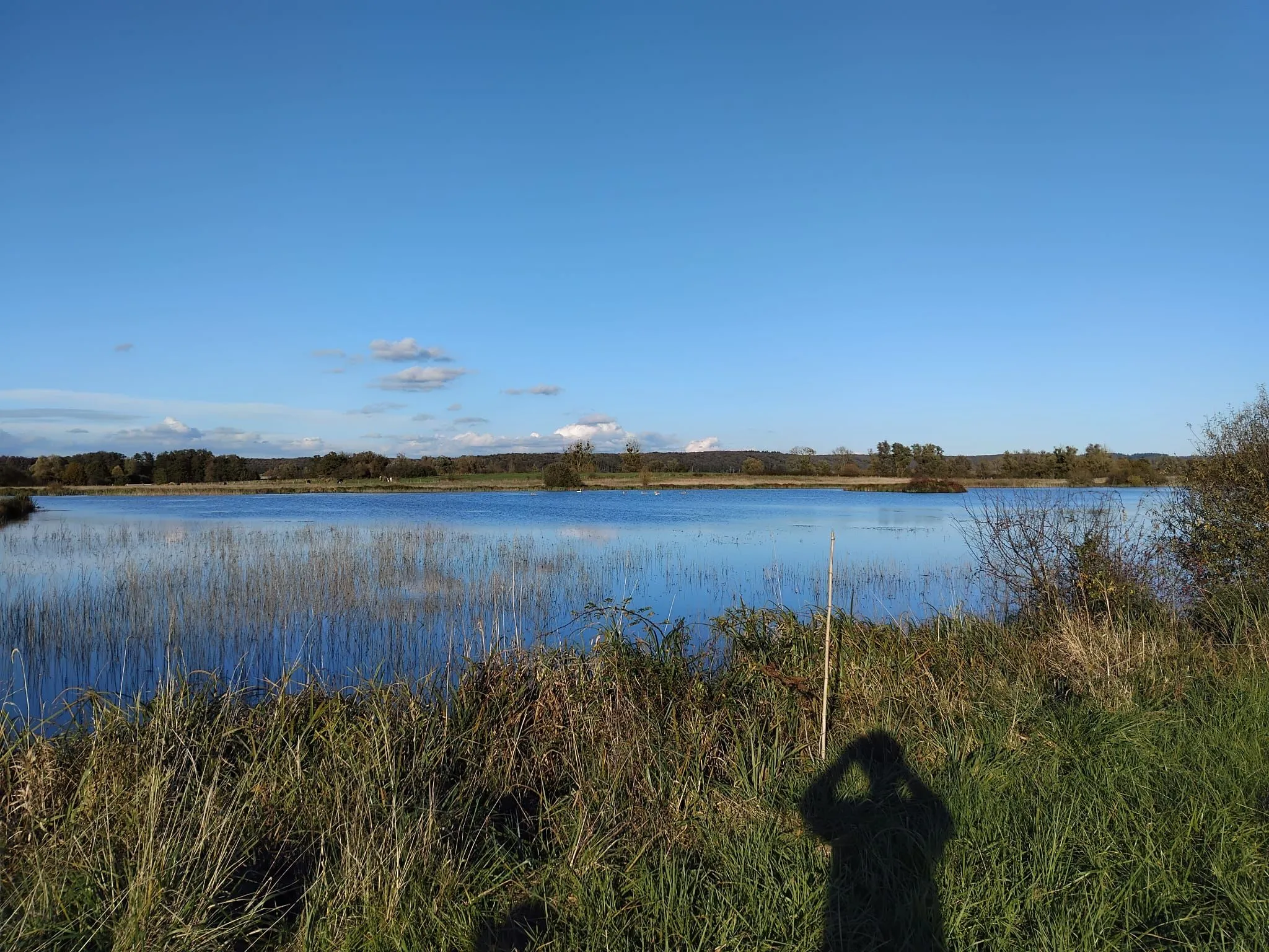 Deux étang de 5ha et 1ha à louer pour pêcher