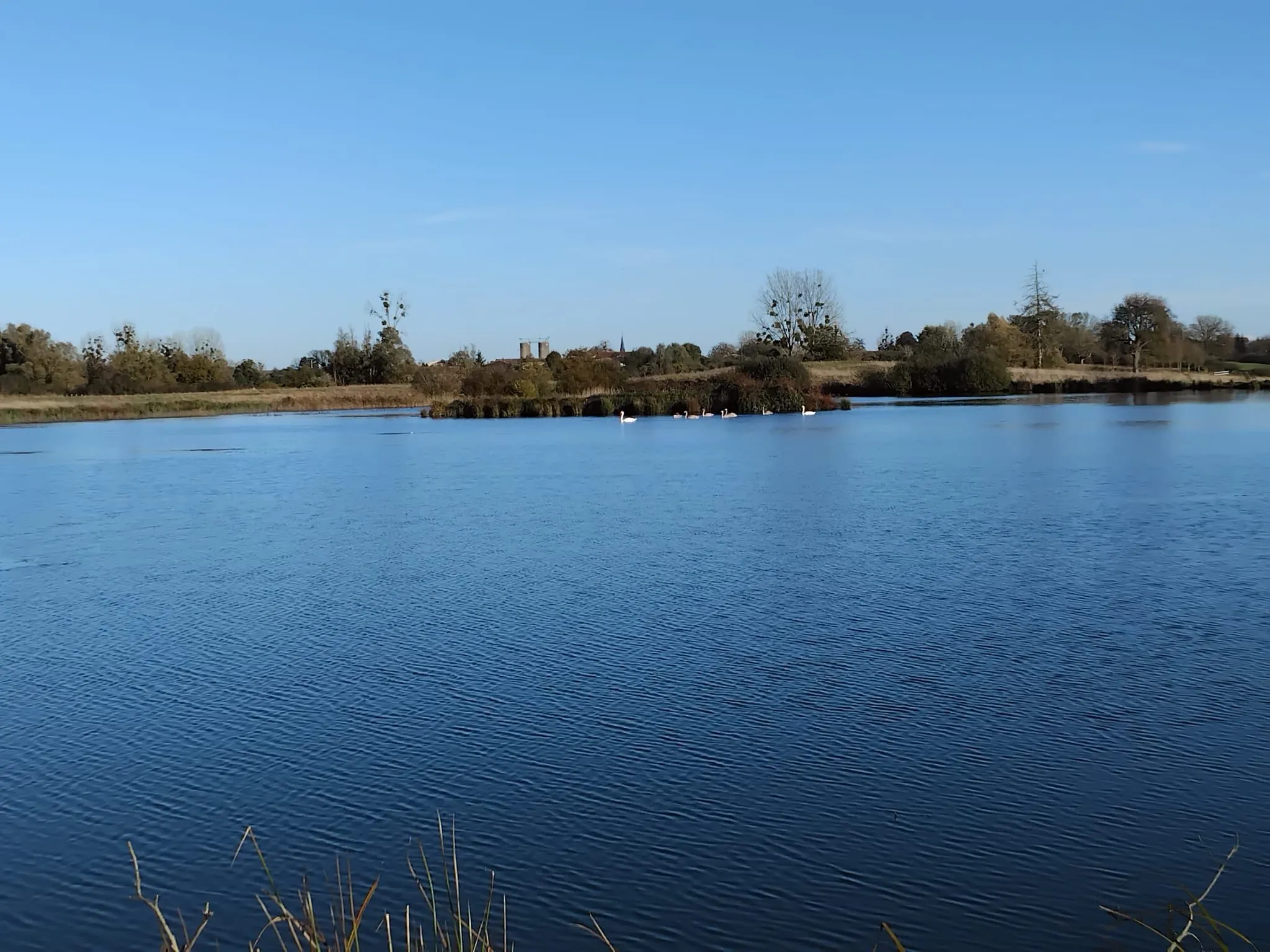 Deux étang de 5ha et 1ha à louer pour pêcher