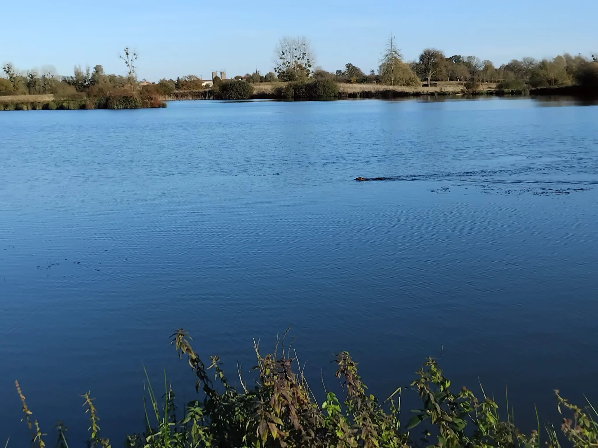Deux étang de 5ha et 1ha à louer pour pêcher