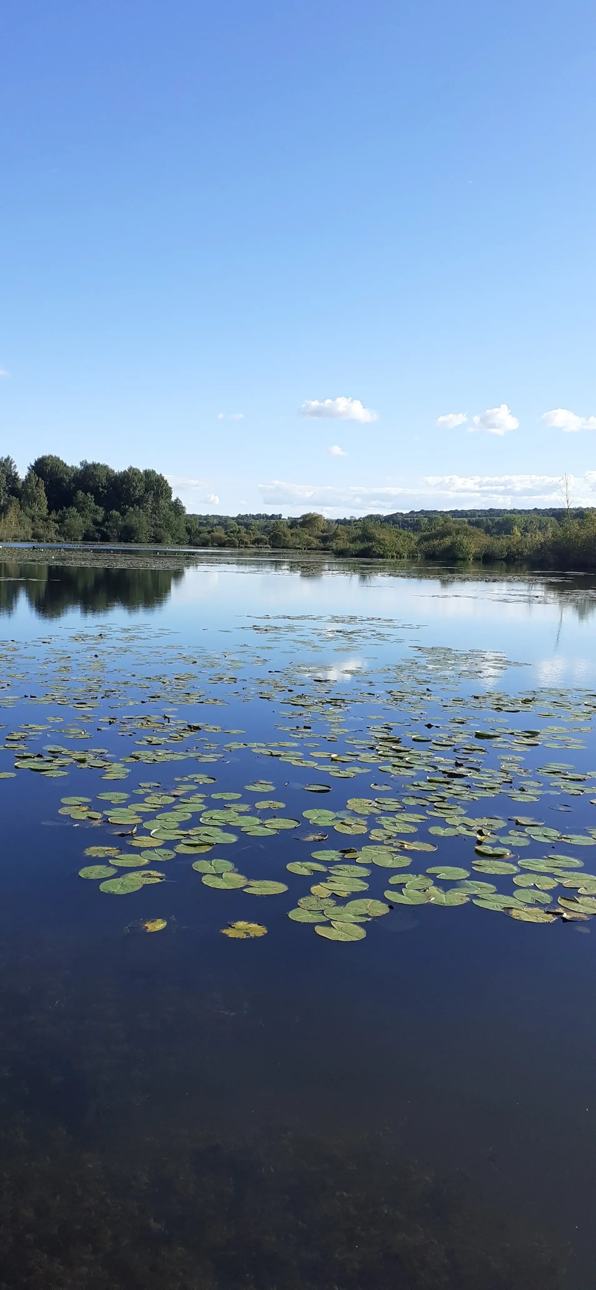 Rent pond in the Hauts de France