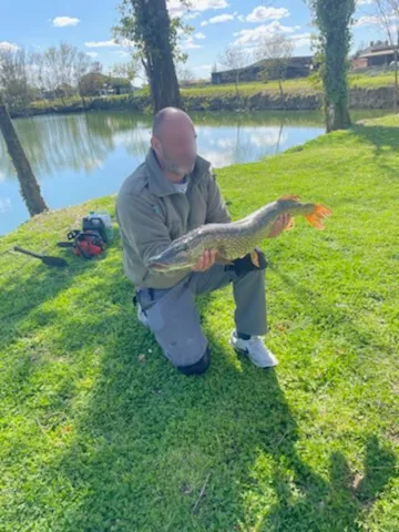 Rent pond with mobile home between sea and marsh
