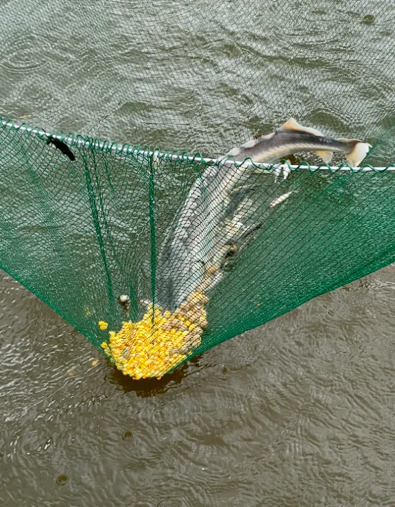 Small corner of paradise in Fougerolles Saint Valbert in Haute-Saône