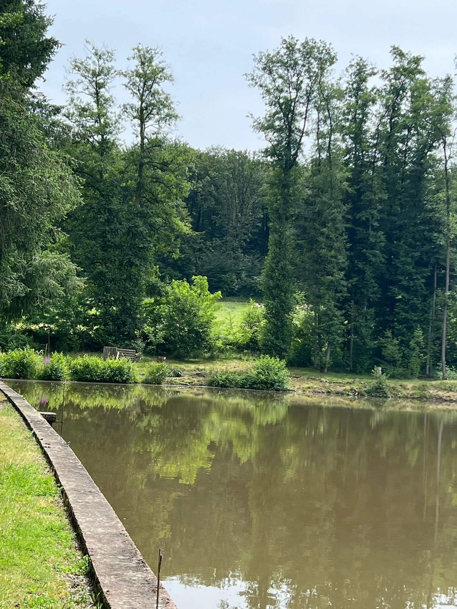 Small corner of paradise in Fougerolles Saint Valbert in Haute-Saône