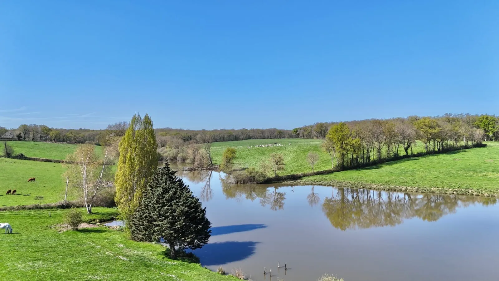 Étang privé de 2 hectares