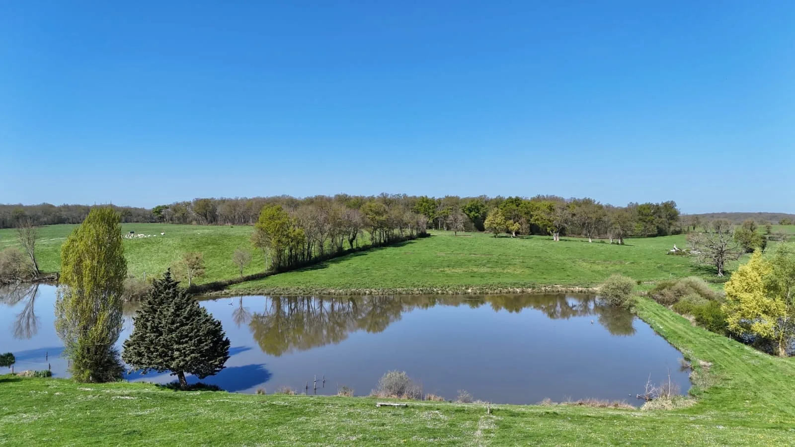 Étang privé de 2 hectares