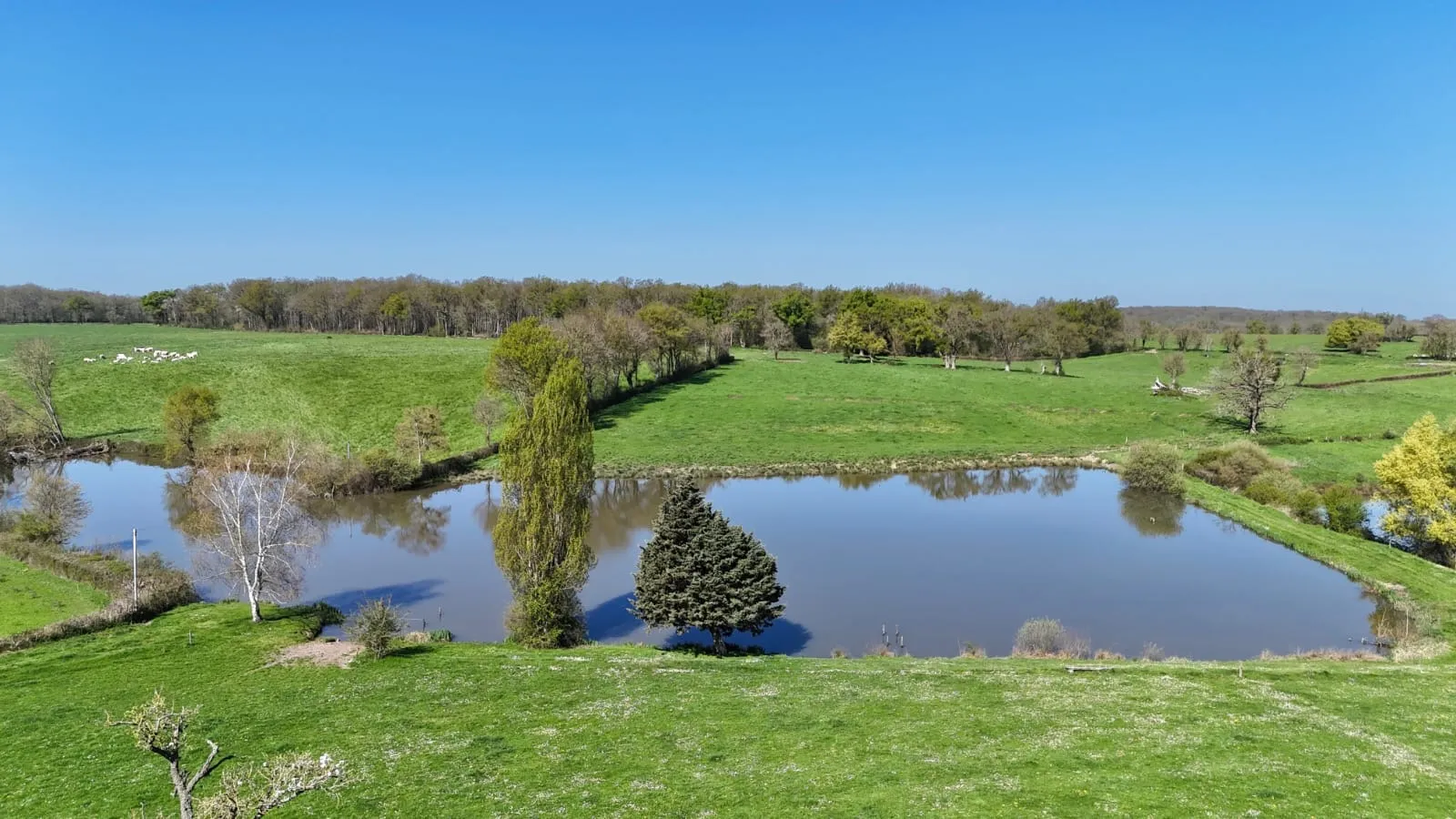 Étang privé de 2 hectares
