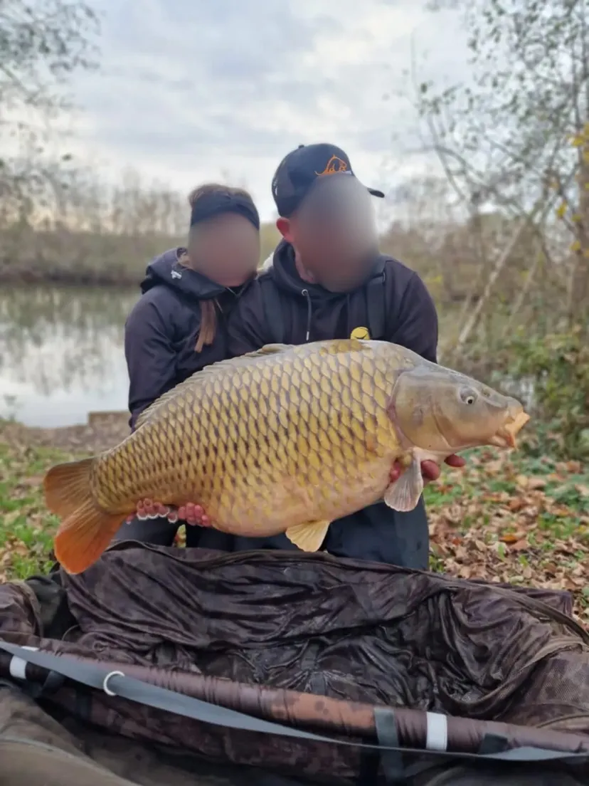 Chalet autonome pour 2 personnes en Hauts-de-France, au bord d’un étang dédié à la pêche à la carpe