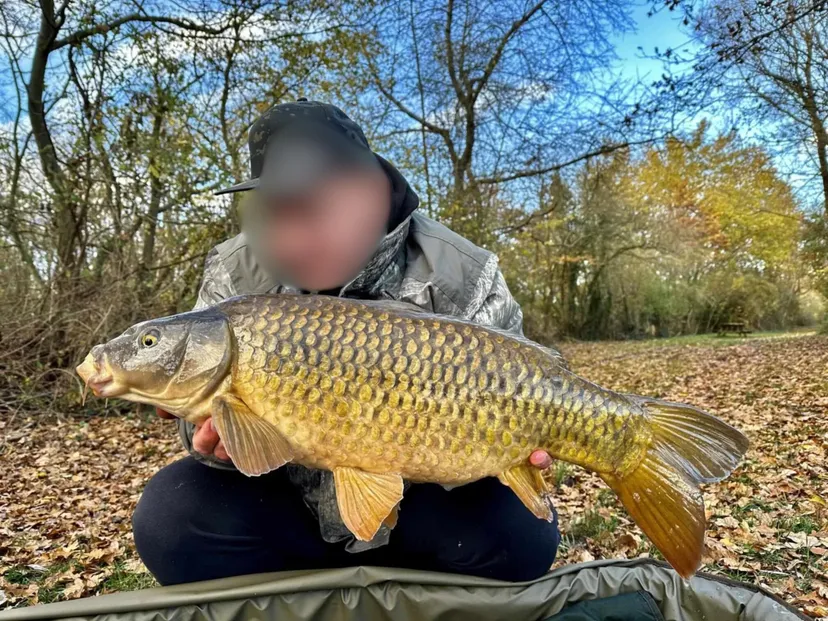 Chalet autonome pour 2 personnes en Hauts-de-France, au bord d’un étang dédié à la pêche à la carpe