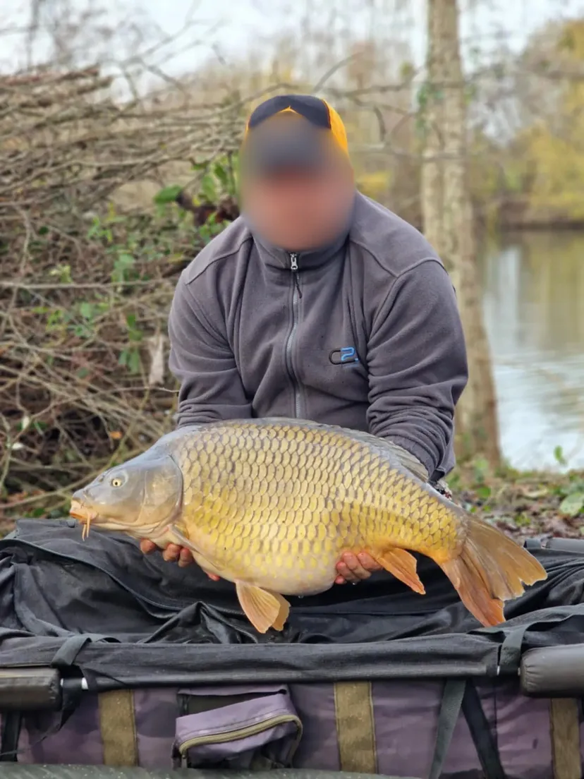 Chalet autonome pour 2 personnes en Hauts-de-France, au bord d’un étang dédié à la pêche à la carpe