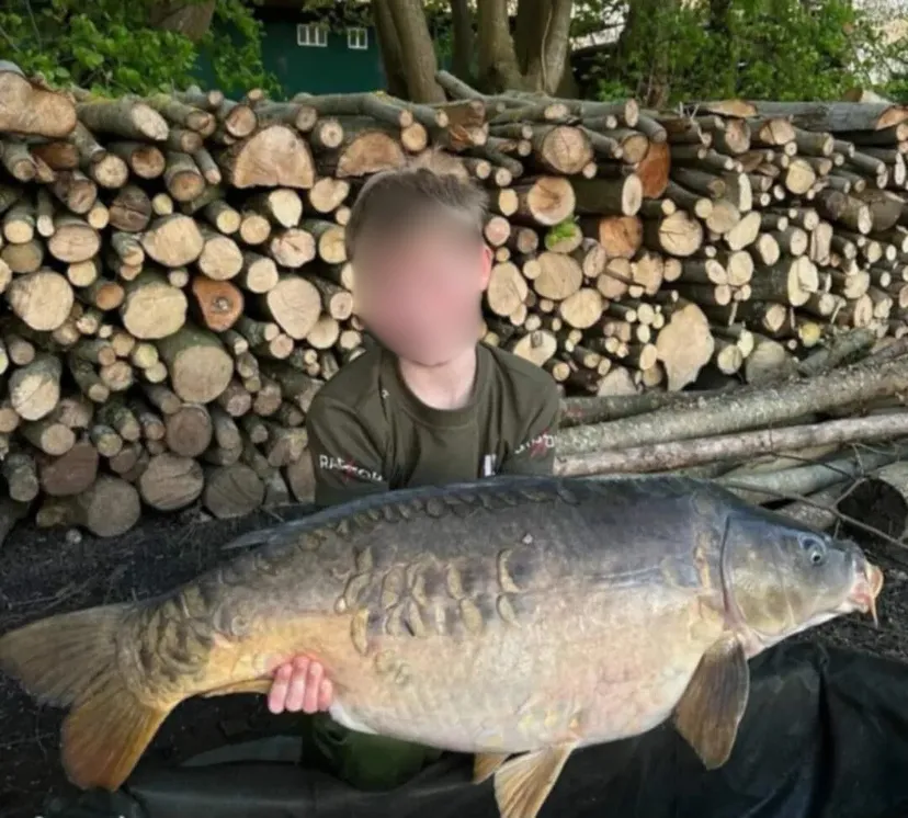 Chalet autonome pour 2 personnes en Hauts-de-France, au bord d’un étang dédié à la pêche à la carpe