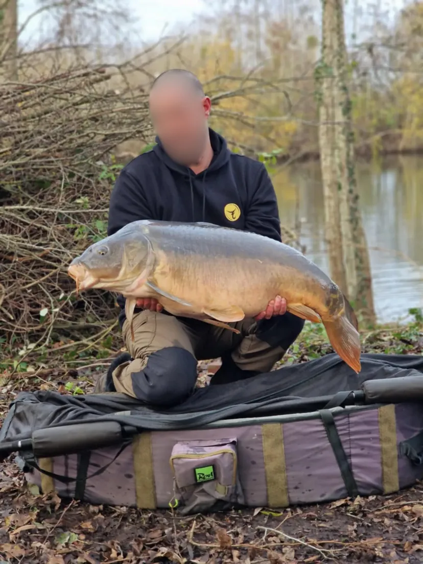 Chalet autonome pour 2 personnes en Hauts-de-France, au bord d’un étang dédié à la pêche à la carpe