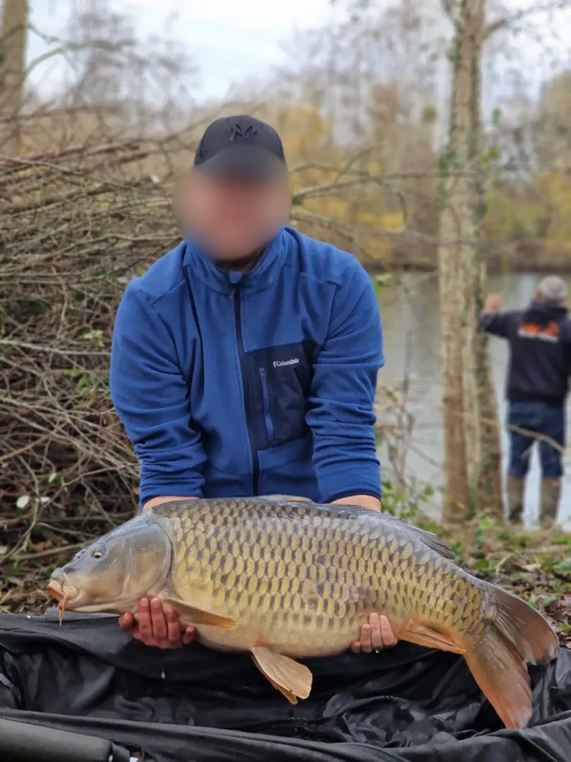 Chalet autonome pour 2 personnes en Hauts-de-France, au bord d’un étang dédié à la pêche à la carpe