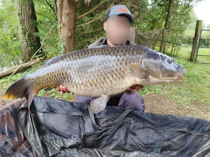 Hébergement pour 2 personnes en Hauts-de-France, en bord d’un étang riche en carpes