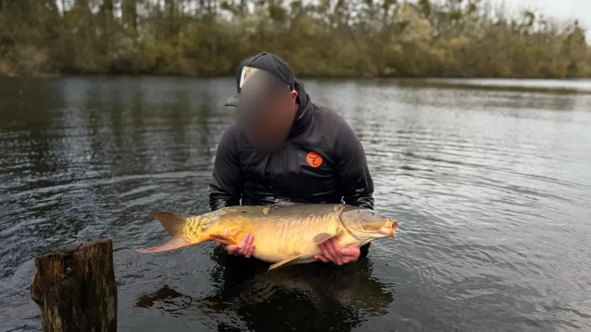 Hébergement pour 2 personnes en Hauts-de-France, en bord d’un étang riche en carpes